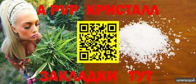 молекула духа Ливны
